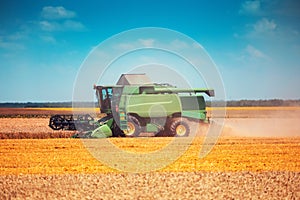 Combine harvester agriculture machine harvesting golden ripe wheat field