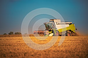 Combine harvester agriculture machine harvesting golden ripe wheat field