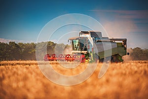 Combine harvester agriculture machine harvesting golden ripe wheat field