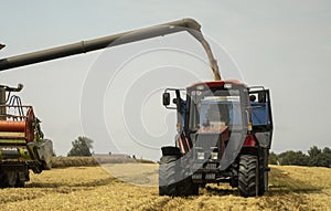 Combine harvester agriculture machine harvesting golden ripe wheat field. Harvester combine harvesting wheat and pouring