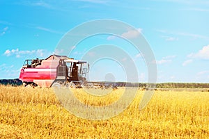 Combine harvester agriculture machine harvesting ripe wheat in farm field