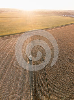 Combine harvester on a corn field On the Sunset, aerial view