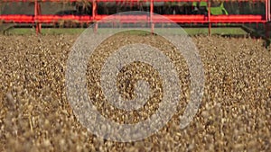 Combine Harvester Cutting Oats