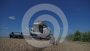 Combine Harvester Cutting Wheat. slow lifestyle motion video. agriculture harvest concept. Combine harvesting in field