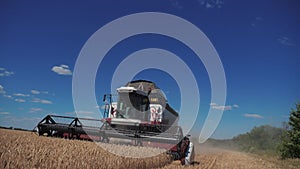 Combine Harvester Cutting Wheat. slow motion video. agriculture harvest concept. Combine lifestyle harvesting in field