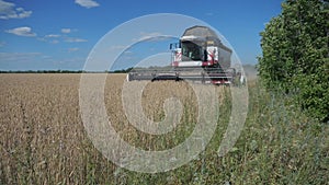 Combine Harvester Cutting Wheat. slow motion video. agriculture harvest concept. lifestyle Combine harvesting in a field
