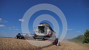 Combine harvester cutting wheat. Slow motion video. Agriculture harvest lifestyle concept. Combine harvesting in field
