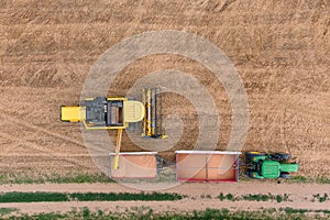 Combine harvester discharging grain from uploader