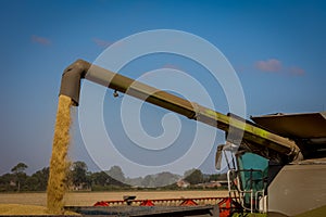 Combine Harvester emptying grain into a trailer.