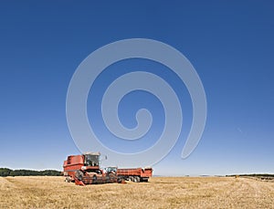 Combine harvester and farmland