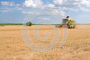 Combine harvester on field