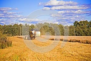Combine harvester on the field