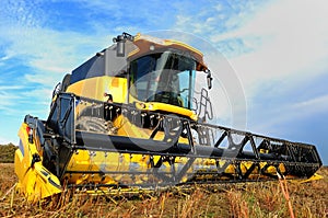 Combine harvester in the field