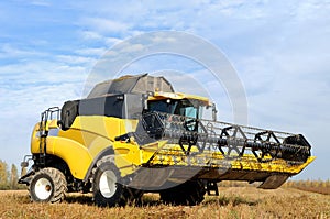 Combine harvester in the field