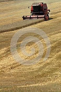 Combine harvester on field