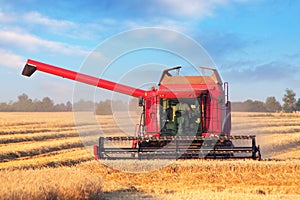 Combine harvester on field