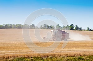 Combine harvester in the field. Harvest