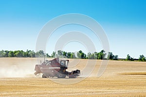 Combine harvester in the field. Harvesting