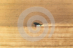 A combine harvester in the field is harvesting grain