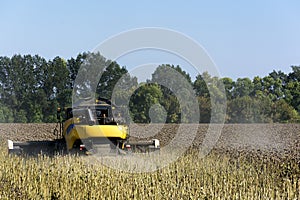 Combine-harvester in a field harvests a sunflower crop for making oil and using it in the food industry