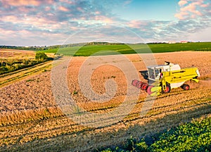 Combine harvester on the field of wheat. Beautiful summer view from flying drone of harvesting wheat.