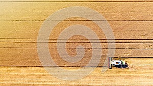 Combine harvester gathers grain on a wheat field, top view. Harvest time. Aerial drone view