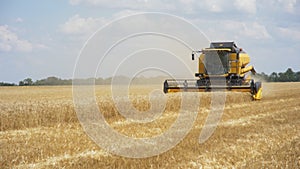 Combine harvester gathers the wheat crop. Wheat harvesting shears. Combines in the field. Steadicam shot. Food industry