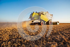 Combine harvester at gold light in agriculture fields with wheat