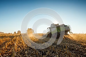 Combine harvester harvest corn field. Image of the agricultural industry.