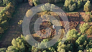 Combine harvester harvesting field of buckwheat in autumn, aerial