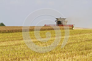 Combine harvester harvesting oil seed