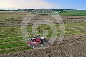 Combine harvester on harvesting oilseed rape in field.