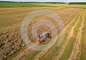 Combine harvester on harvesting oilseed rape in field. Aerial view of harvest season in canola oil field.