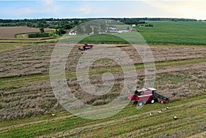 Combine harvester on harvesting oilseed rape in field. Aerial view of harvest season in canola oil field.