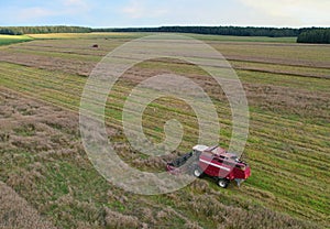 Combine harvester on harvesting oilseed rape in field.  Aerial view of harvest season in canola oil field.