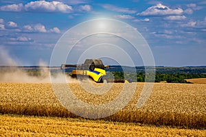 Combine harvester harvesting ripe wheat. Harvesting in Ukraine during the war and the world crisis for grain