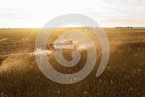 Combine harvester harvesting sunflower field