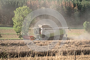 Combine harvester harvesting on wheat field