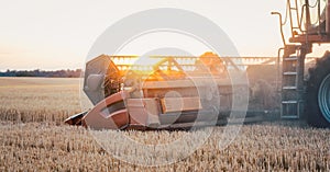 Combine harvester harvesting wheat during sunset