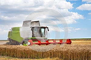 Combine harvester harvests golden wheat.