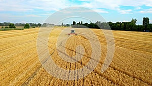 Combine Harvester Harvests Golden Wheat. Agriculture. Prores, Slow Motion. Shooting from the air