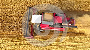 Combine Harvester Harvests Golden Wheat. Agriculture. Prores, Slow Motion. Shooting from the air