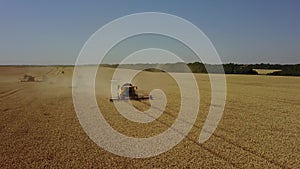 Combine harvester harvests ripe wheat agriculture 4K