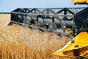 Combine harvester harvests ripe wheat. Agriculture. Wheat fields.