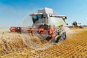 Combine harvester harvests ripe wheat. Concept of a rich harvest. Agriculture image