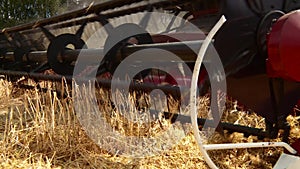 The combine harvester harvests wheat. Corn. Oats. Wheat Agro-culture Close-up