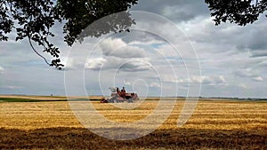 Combine harvester harvests wheat in the field. Harvesting grain season on summer day. Agronomy and agriculture concept.