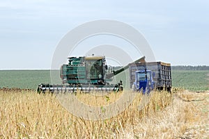 Combine harvester load sunflower seed in the truck