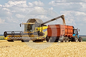 Combine harvester load wheat in the truck