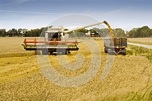 Combine Harvester Loading Grain into a Trailer